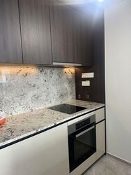 Tembusu Grand (D15), Condominium #531124481